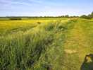 Lovely wild meadows.