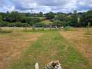On site with the dog