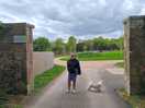 Our first walk around