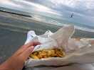 Sea front. chips from the surrey
