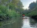 On the river