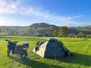 A peaceful place to stay in idyllic setting