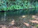The river-deep enough to swim
