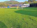The campsite/pitch.