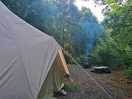 Goshawk tipi