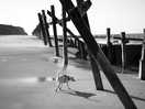 The old sea defences