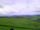View from pod