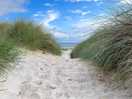 Walking to the beach