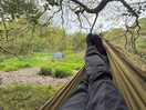 Hammock