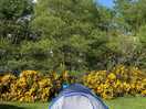 Campsite