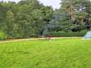 The site