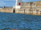 The harbour