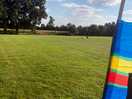 The field is surrounded by trees and hedges, so makes it private