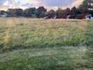 Nice big pitches