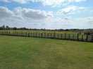Simon's field