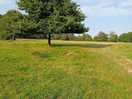 Lots of places to walk the dogs or just go for a walk