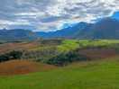 Tharta loop