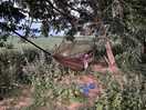 Great night for the hammock