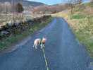 Lovely walks