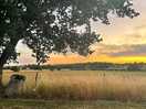 Views over playing field