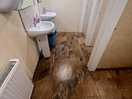 Men’s bathroom and toilets