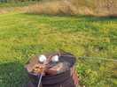 Toasting marshmallows in the firepit