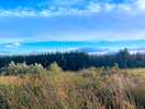 View from our tent