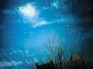 Starry night