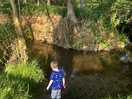 Little stream at the bottom of the site