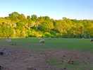 Farm land surroundings