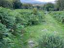 Beautiful walk leading to wild swimming spot.