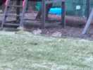 Rother valley march 2023