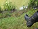 Fantastic fishing