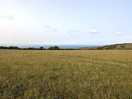 The view over to wales, over the river severn and the south west coast path.