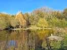 Fishing lake