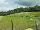 Landschaft