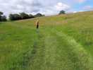 Lovely meadow jog
