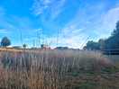 View from dog walk