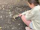 Feeding the squirrels