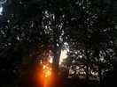 Lovely sunset