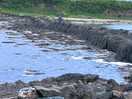 Low tide