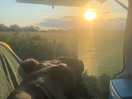 The views