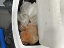 Bin full for duration of 5 night stay.