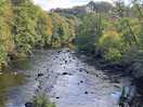 River ayr
