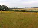 Some nice views