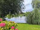 Pond view from pitch