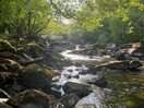 Stream