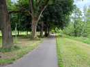 Sight walking into stourport