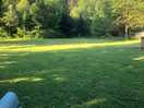 Dog park