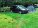 Friendly visitors